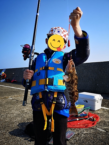 アイナメの釣果