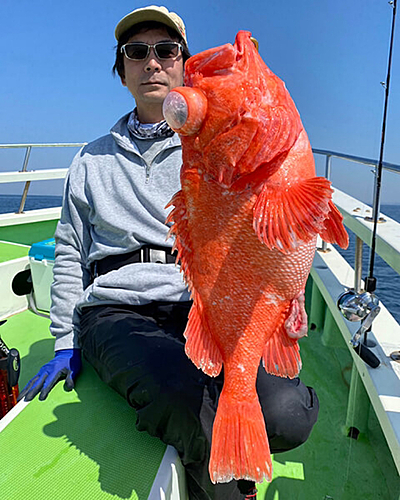 アコウダイの釣果