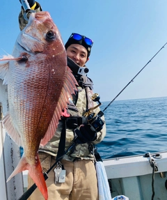 マダイの釣果