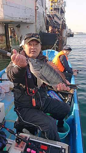 クロダイの釣果