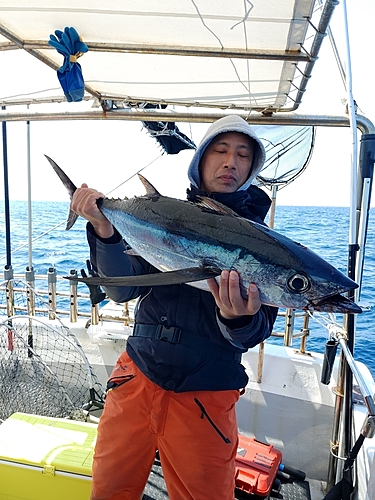 ビンチョウマグロの釣果