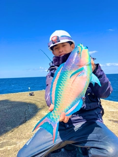 イチモンジブダイの釣果