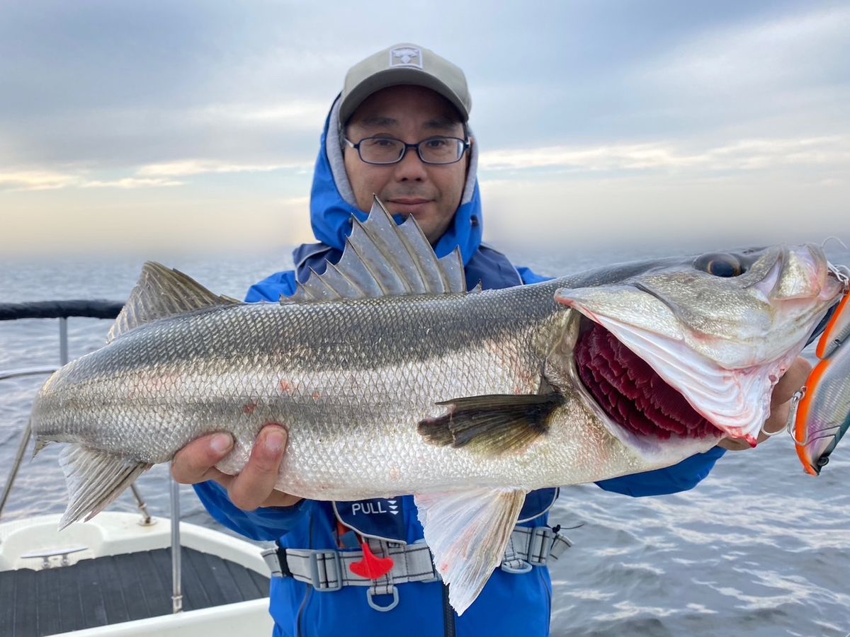 ショア専用アングラーさんの釣果 2枚目の画像