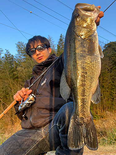 ラージマウスバスの釣果