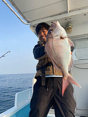 ヒラマサの釣果