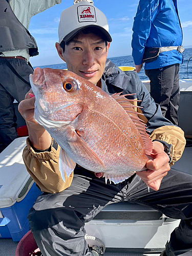 マダイの釣果