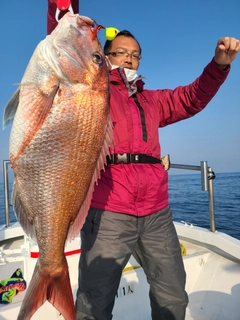 マダイの釣果