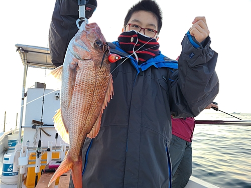 マダイの釣果