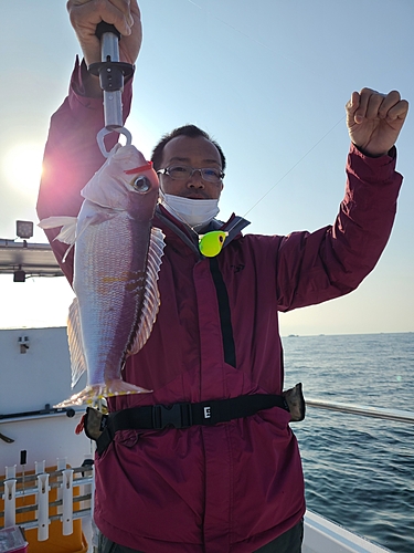 アマダイの釣果