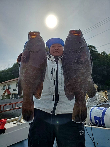 マハタの釣果