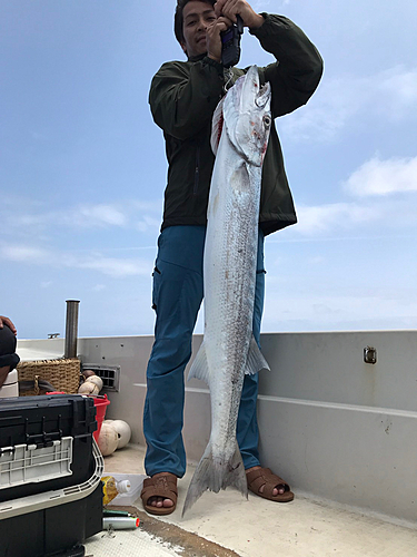 オニカマスの釣果