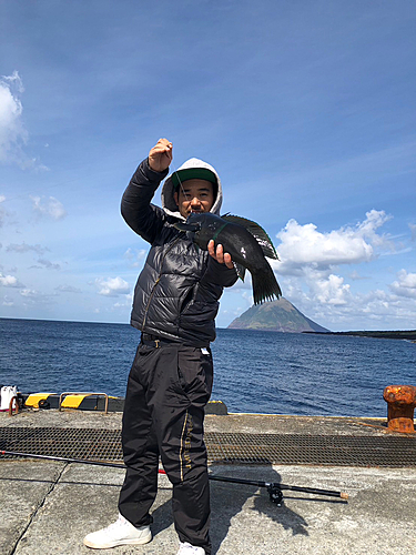 カンムリベラの釣果