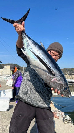 ビンチョウマグロの釣果