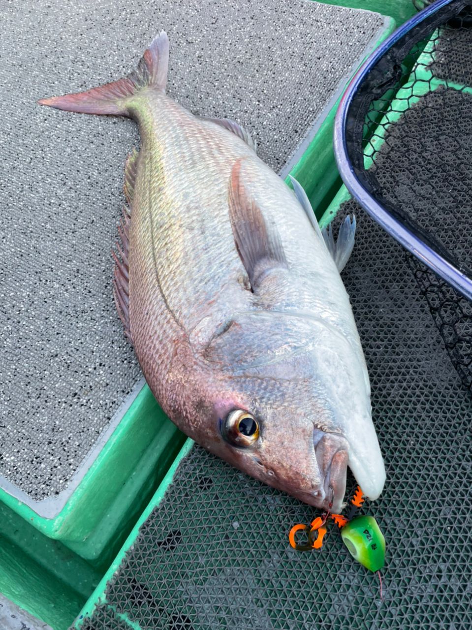 アングラー九州さんの釣果 2枚目の画像