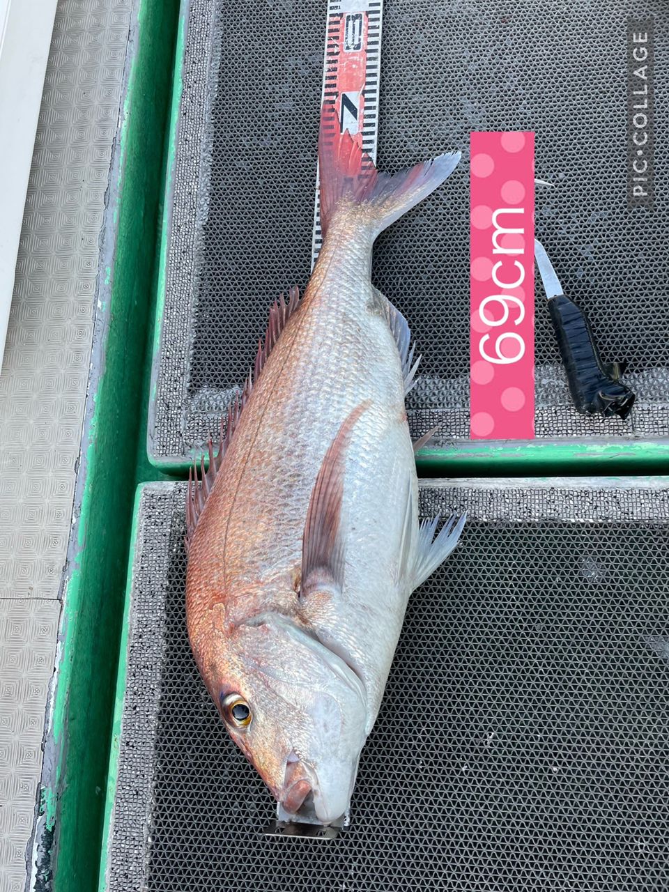 アングラー九州さんの釣果 3枚目の画像