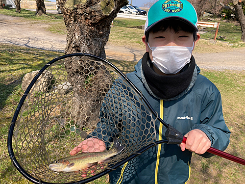 ニジマスの釣果