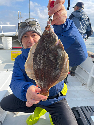 マコガレイの釣果