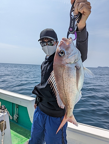 タイの釣果