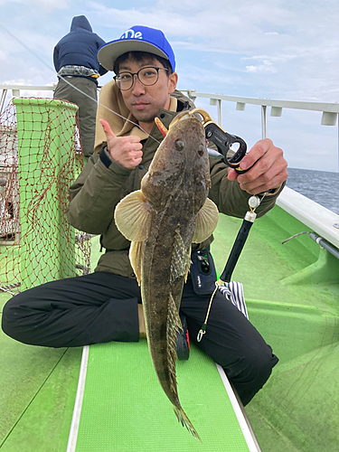 マゴチの釣果