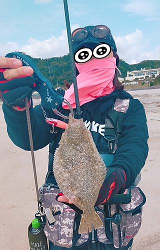 ヒラメの釣果