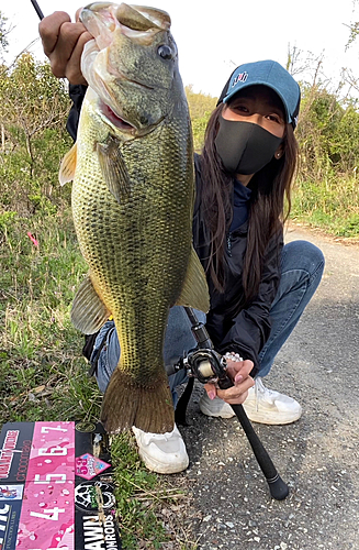 ブラックバスの釣果