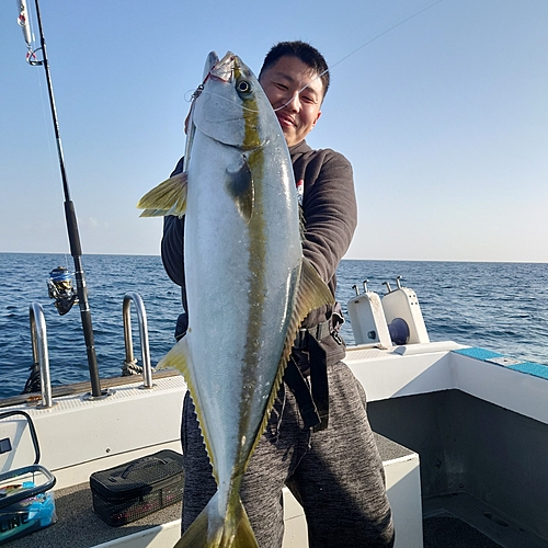 ヒラマサの釣果