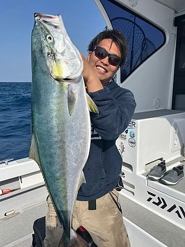 ブリの釣果