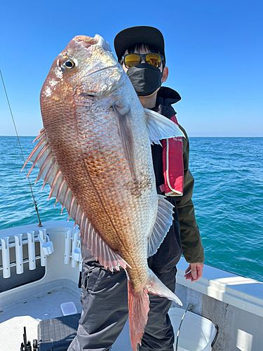 マダイの釣果