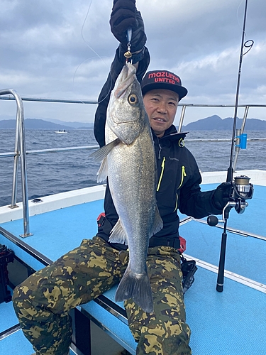 スズキの釣果