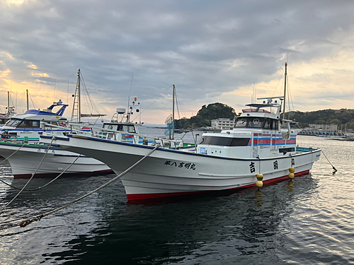 マアジの釣果