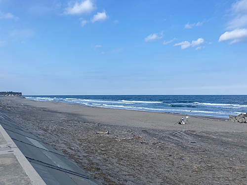 アサヒアナハゼの釣果