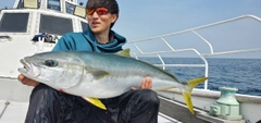 ヒラマサの釣果