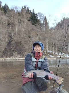 イワナの釣果