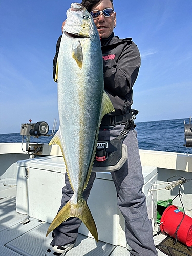 ヒラマサの釣果