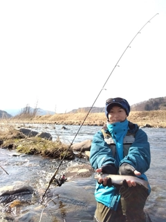 アメマスの釣果