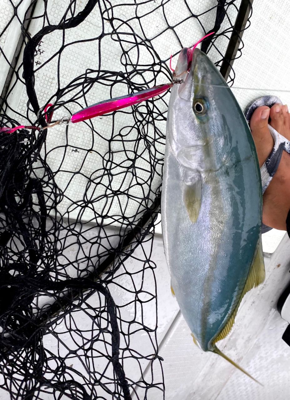 アングラー九州さんの釣果 2枚目の画像