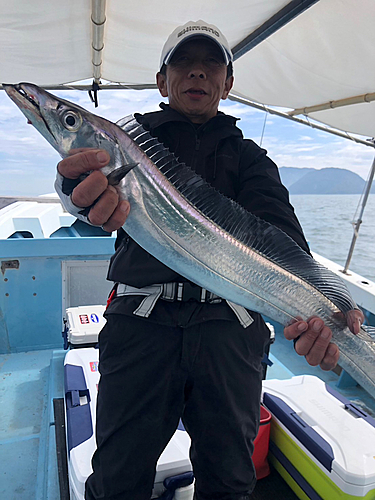 タチウオの釣果