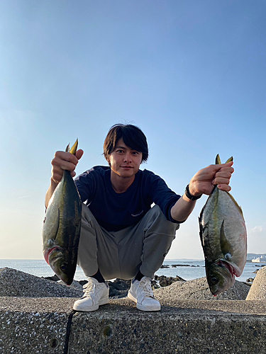 シマアジの釣果