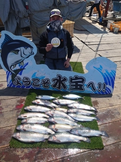 トラウトの釣果