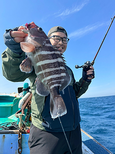 マハタの釣果