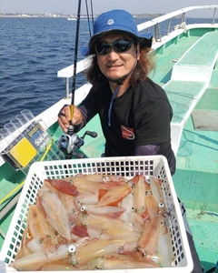 マルイカの釣果