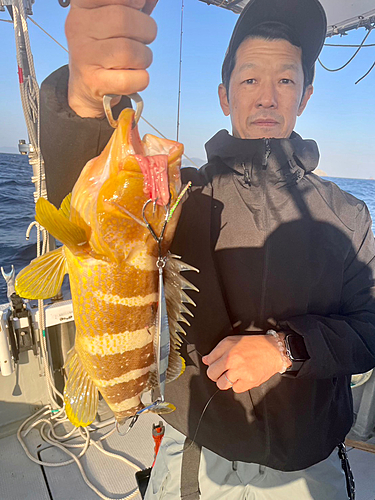 アオハタの釣果