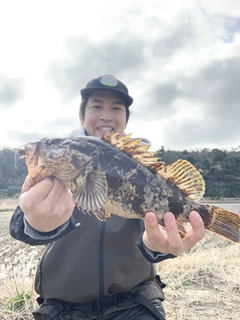 タケノコメバルの釣果