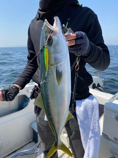 イナダの釣果