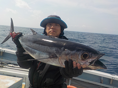 ビンチョウマグロの釣果