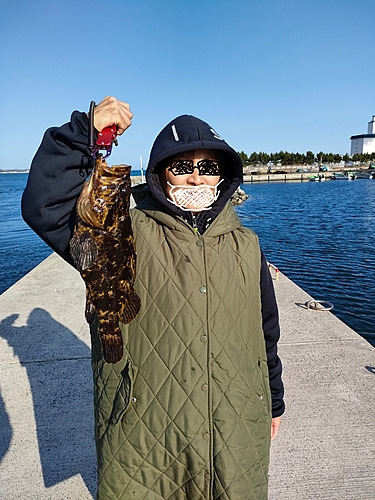 タケノコメバルの釣果