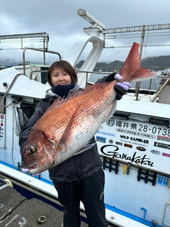 マダイの釣果