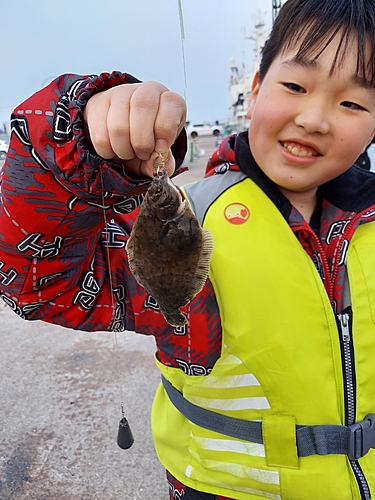 クロガレイの釣果