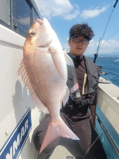 マダイの釣果