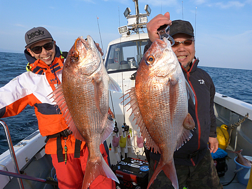 マダイの釣果